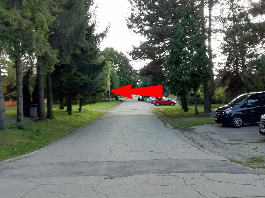 13 · Chodník medzi stromami
